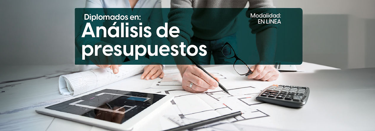 Diplomado en Análisis de Presupuestos