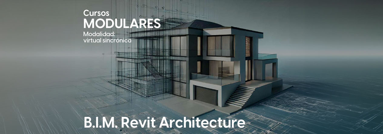 B.I.M. Revit Architecture